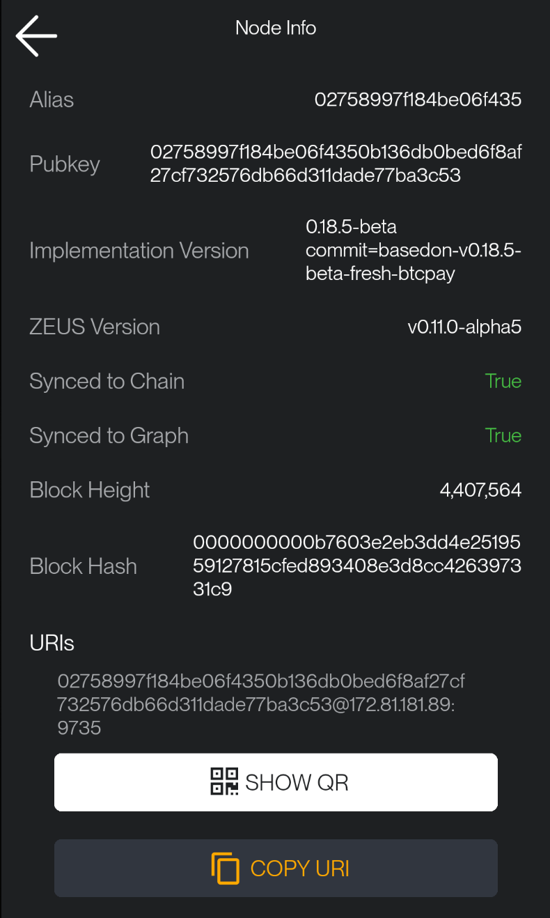 node-info